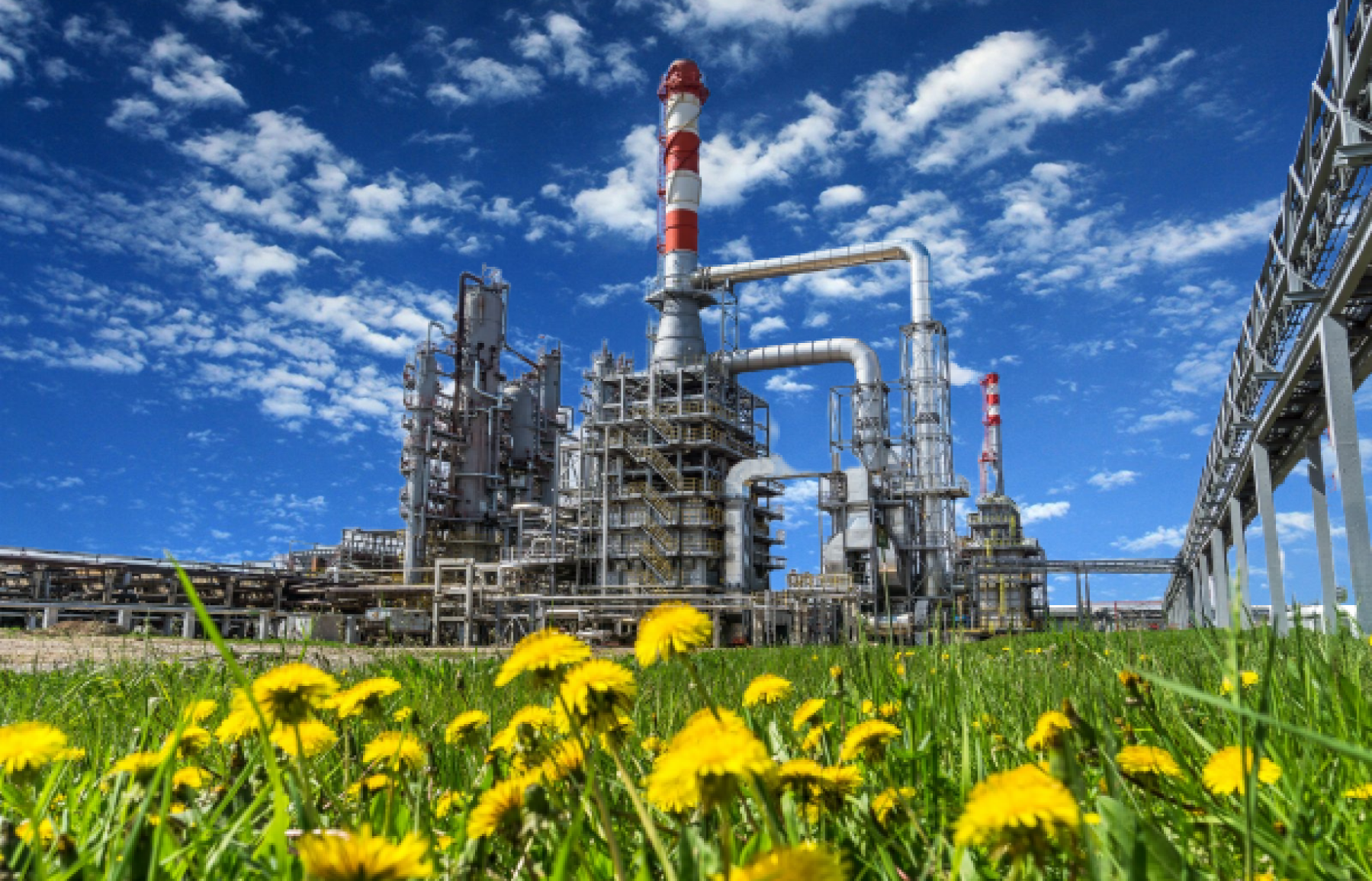 Инновационные технологии в производстве и продаже нефтехимических продуктов
